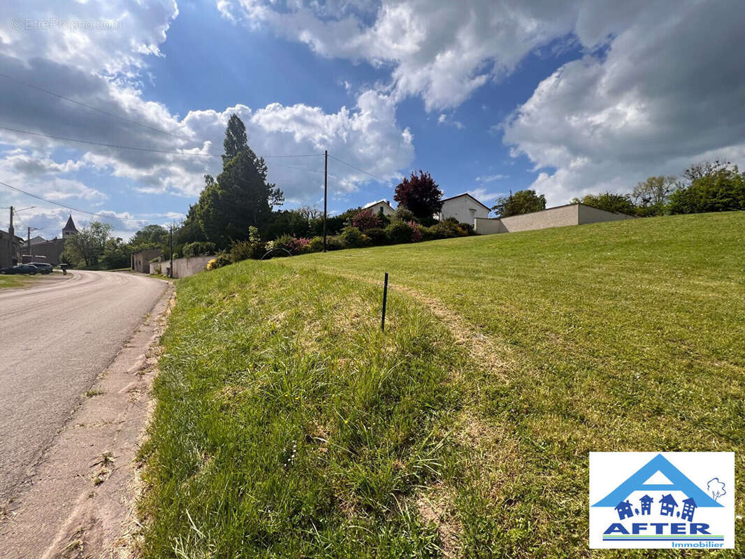 Terrain à FROVILLE