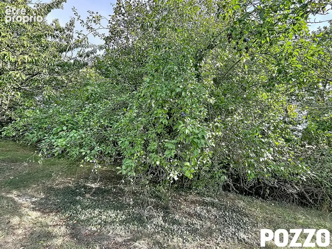 A VENDRE - Precey - Propriété de caractère 6 pièce(s) 140 m² - photo 15
