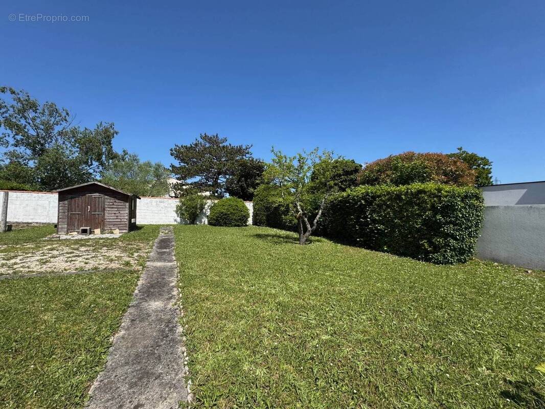 Terrain à SAINT-XANDRE