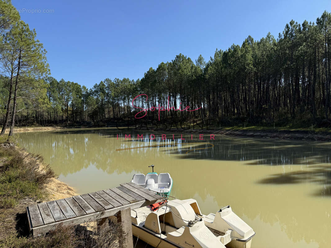 À 30 minutes de Bordeaux et 45 minutes d’Arcachon, domaine avec 2 étangs sur 15 hectares - photo 9
