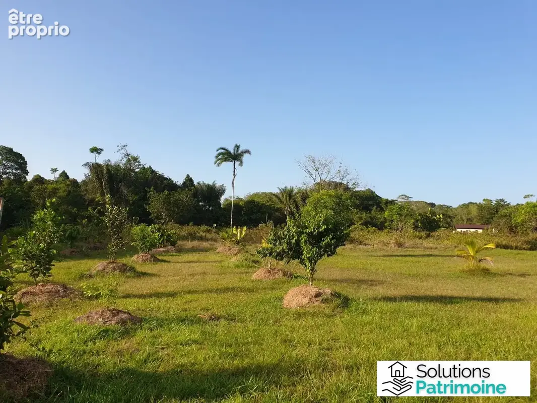 Terrain à vendre à Roura (97311) - photo 9