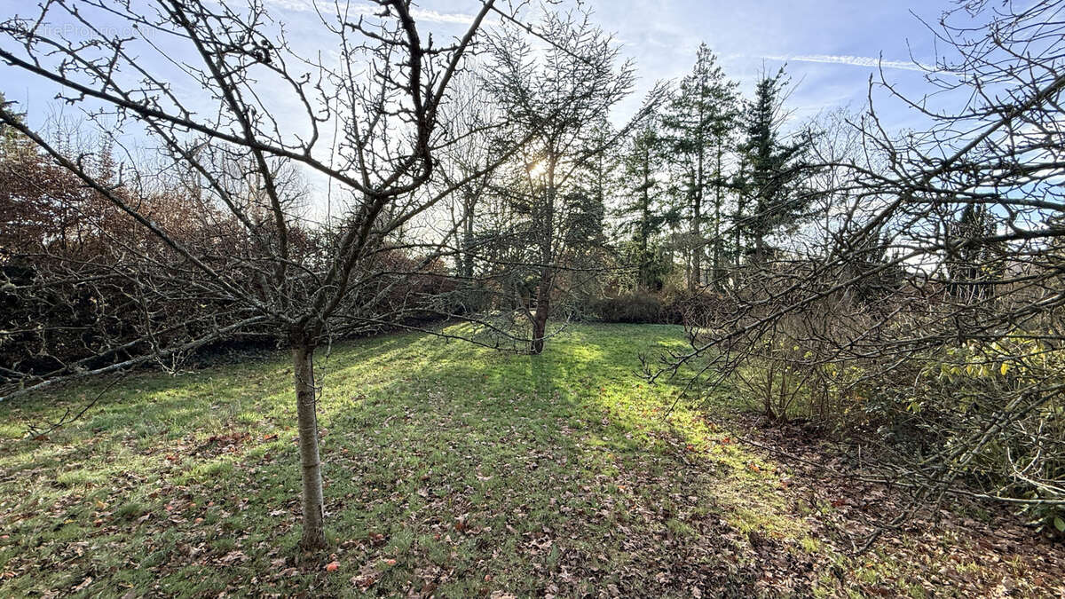 Terrain à AUTOUILLET