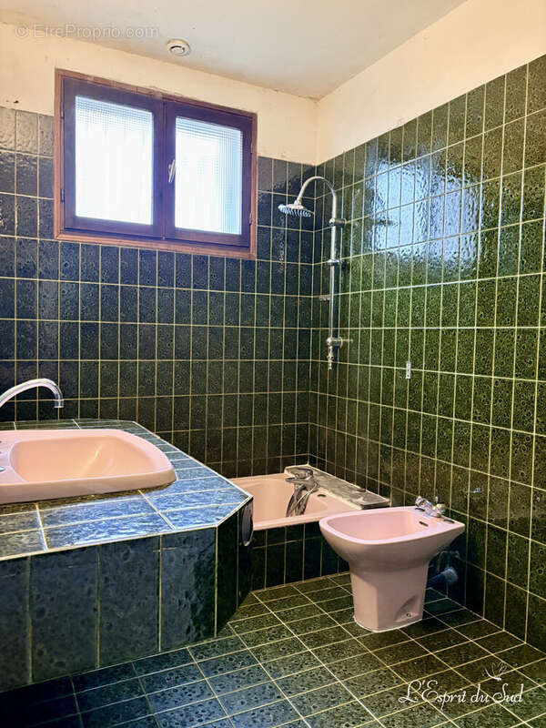 SDB RDC - Maison à GAILLAC