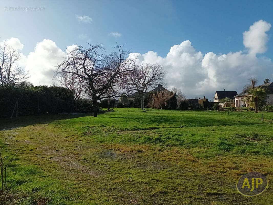 Terrain à MOLAC