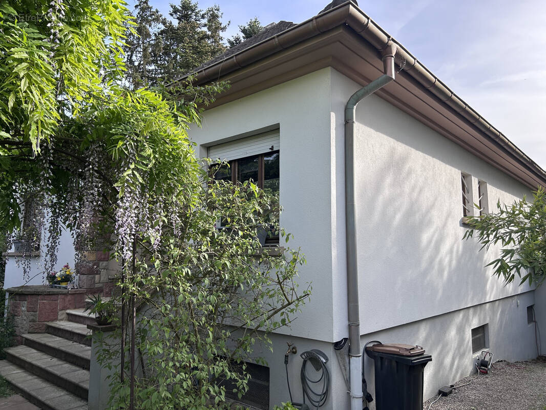 Maison à RIXHEIM