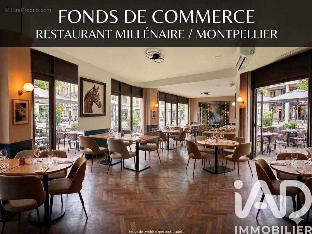 Photo 1 - Commerce à MONTPELLIER