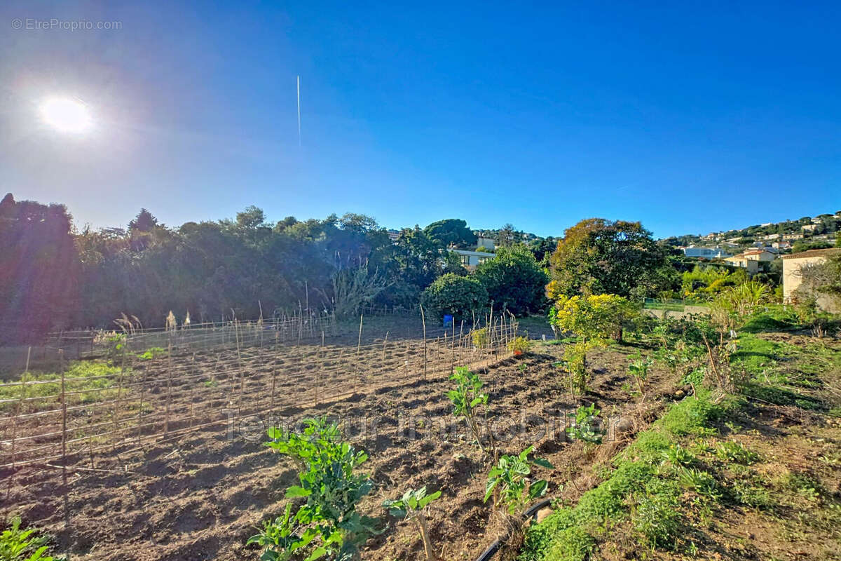 Terrain à VALLAURIS