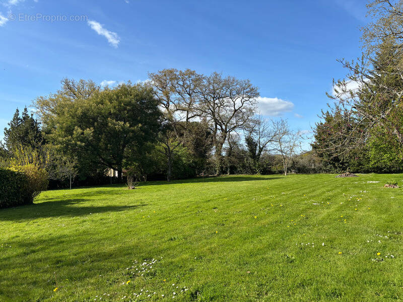 Terrain à BAINS-SUR-OUST