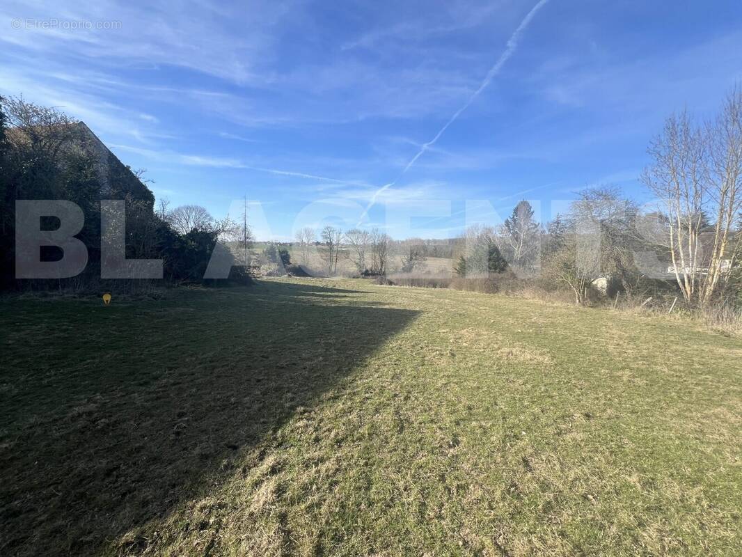 IMG_5317 - Terrain à JANVRY