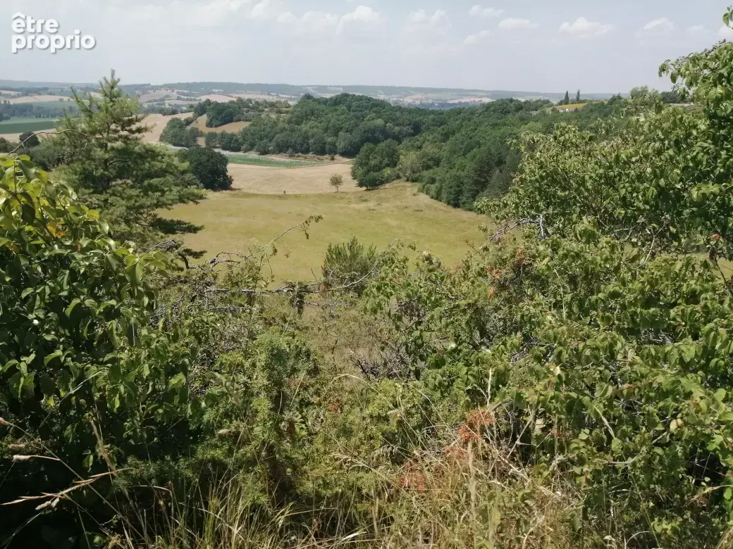 Terres agricoles, 11 hectares d'un seul tenant - photo 1