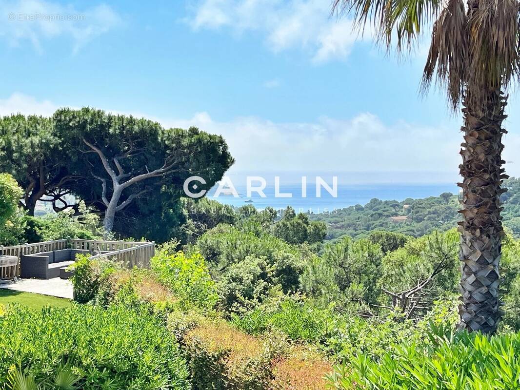 Villa 4 chambres, vue mer, Gigaro - photo 2