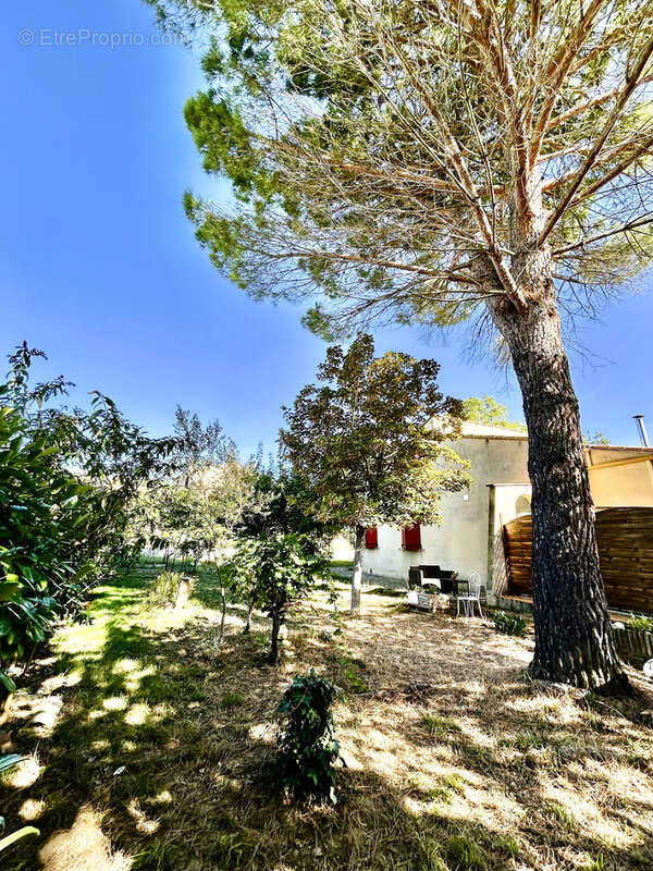 Maison à LA DIGNE-D&#039;AMONT