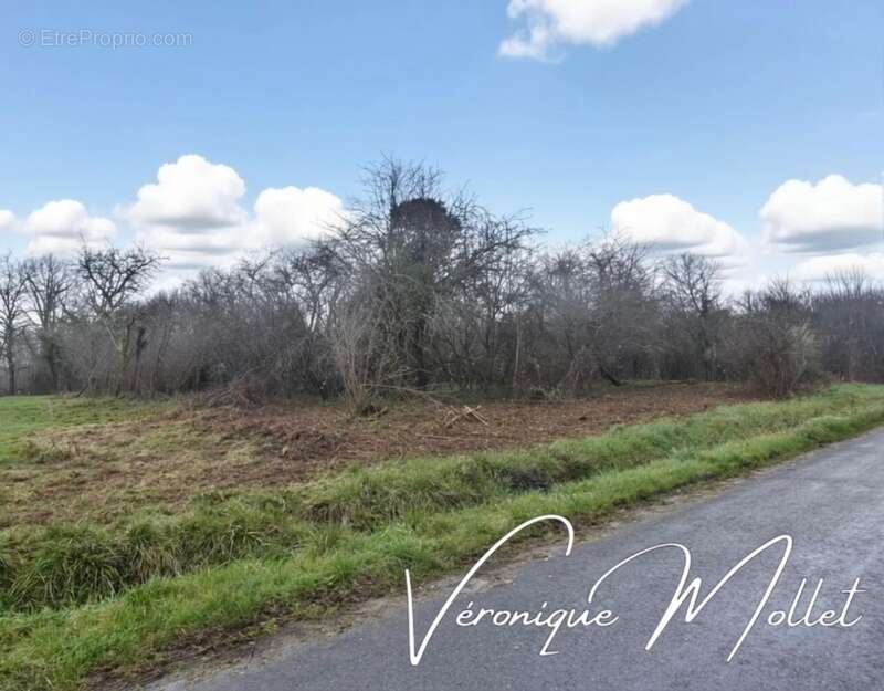 Terrain à LIGNAN-DE-BORDEAUX