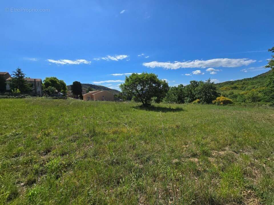 Terrain 2295 m² à Le Pradal  - photo 2