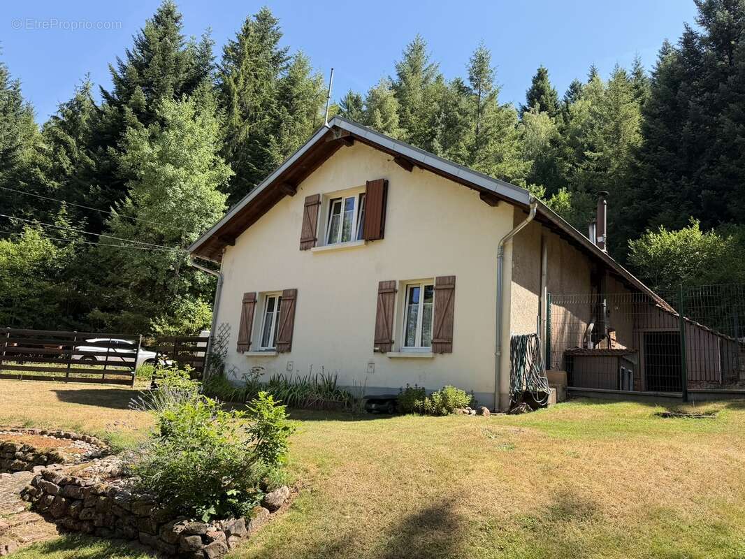 Magnifique ferme dans la forêt  - photo 22