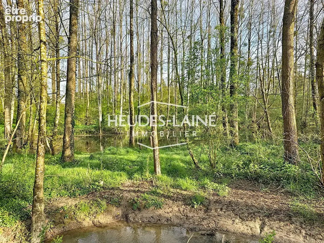 EXCLUSIVITÉ - Terrain avec étang - photo 2