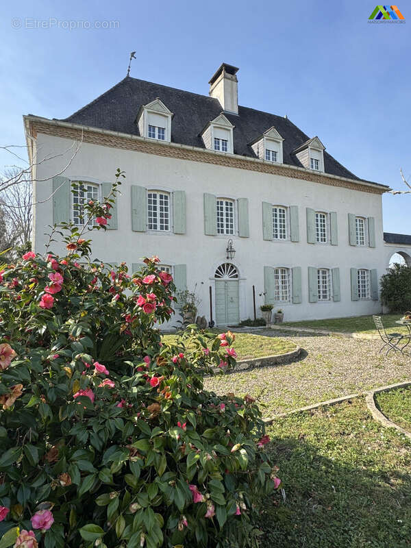 Maison 408 m² à Sauveterre-De-Bearn  - photo 5