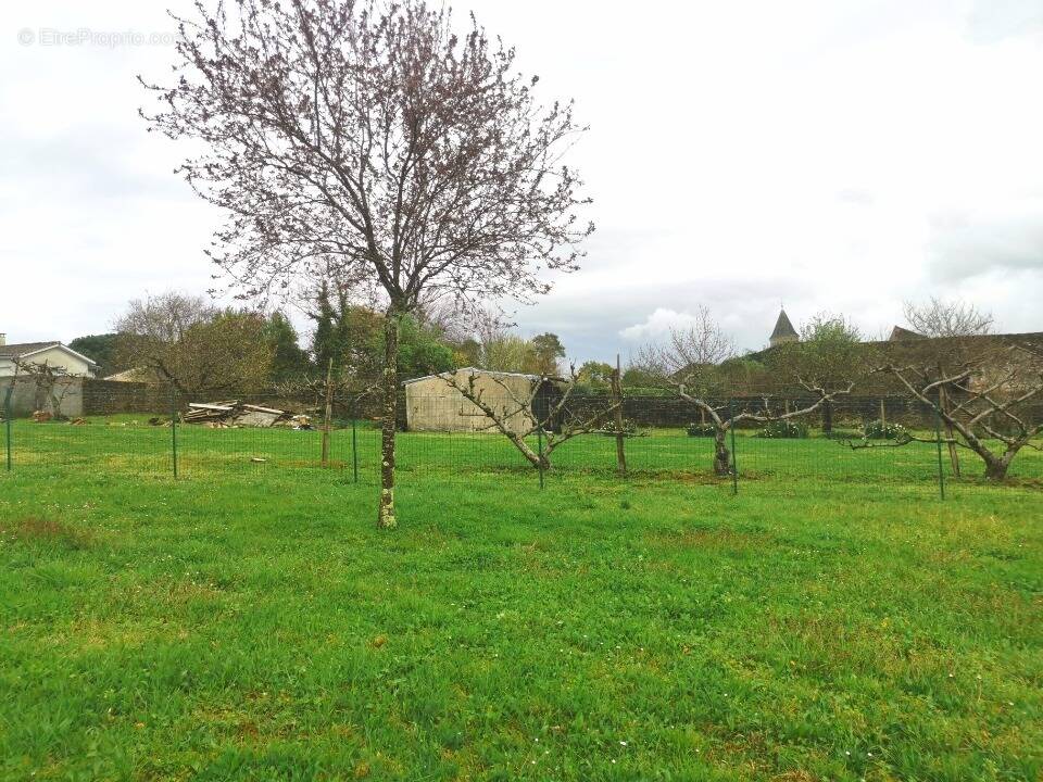 Terrain à SAINT-PIERRE-D'AURILLAC