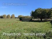 Terrain à AUREILHAN