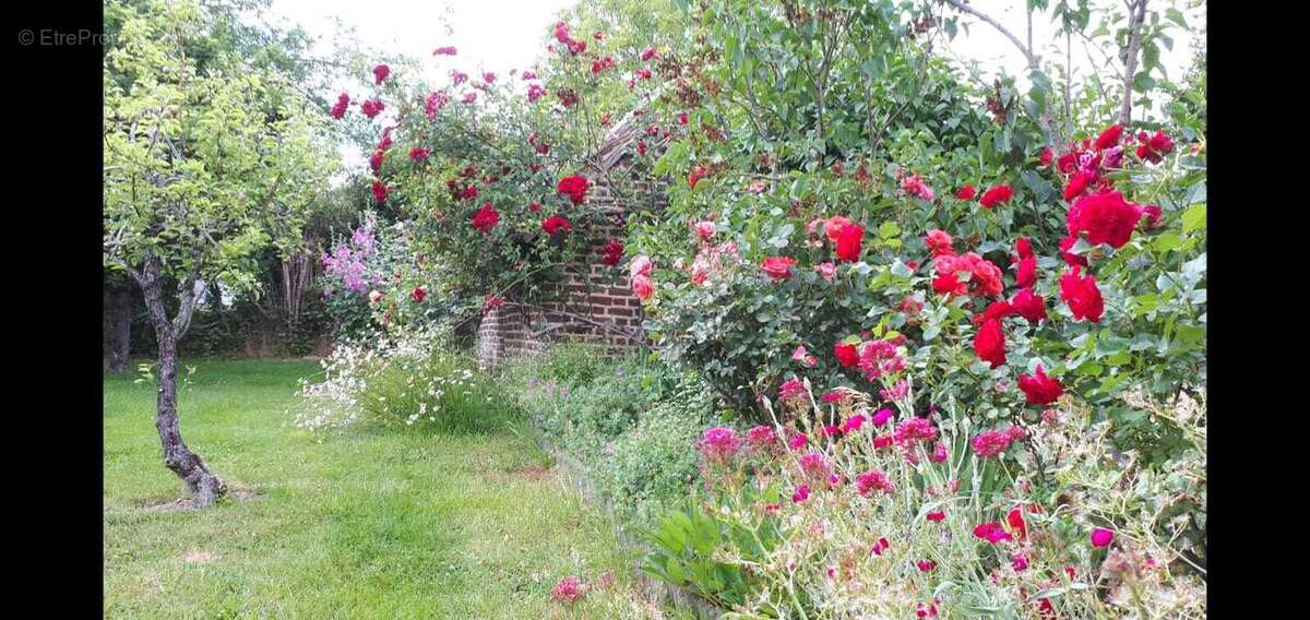 Maison à LA FONTENELLE