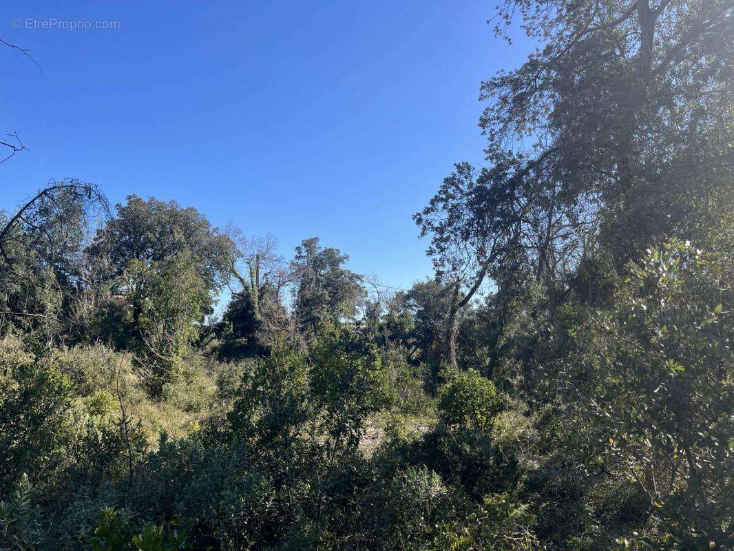 Terrain à AIGALIERS