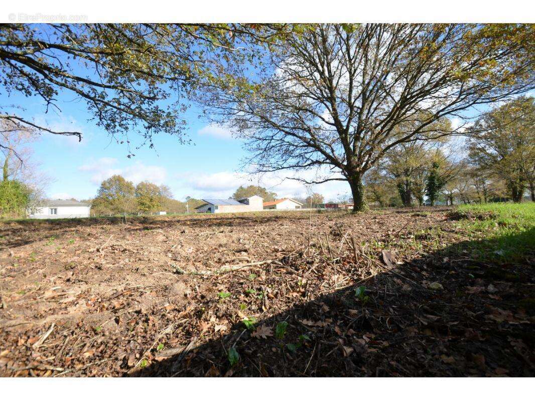 Terrain à PORCHERES