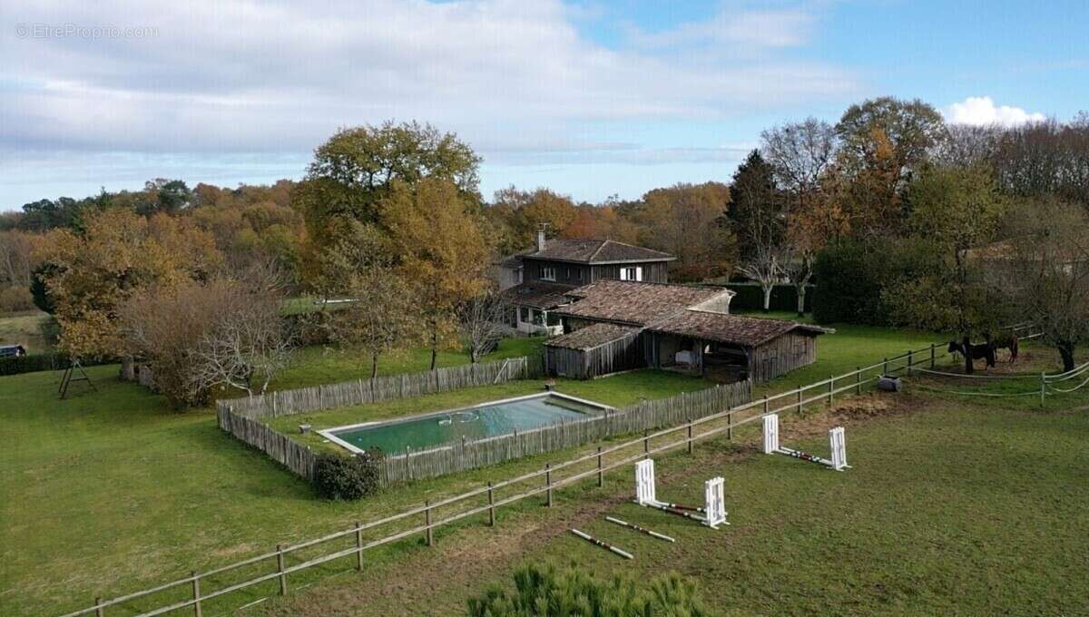 Maison à LOUPES