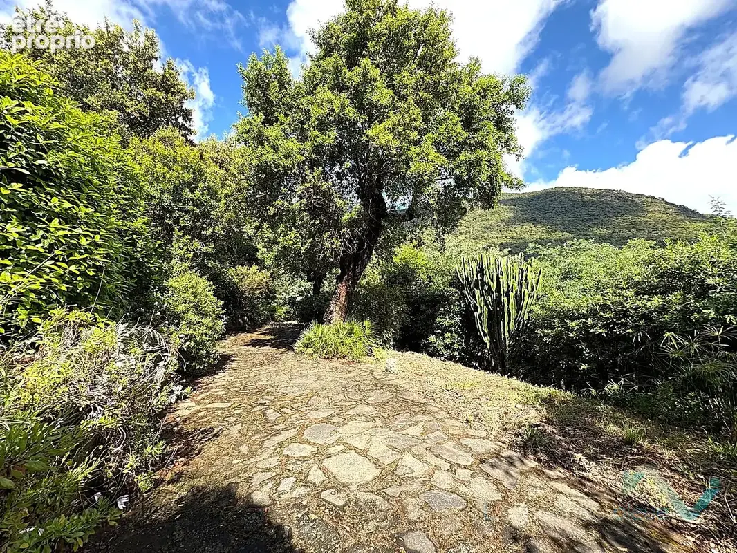 Vente appartement T2 à Cavalaire sur Mer - photo 9