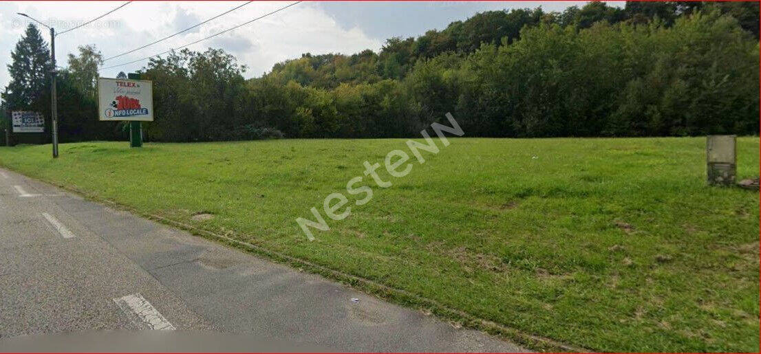 Terrain à GROSBLIEDERSTROFF