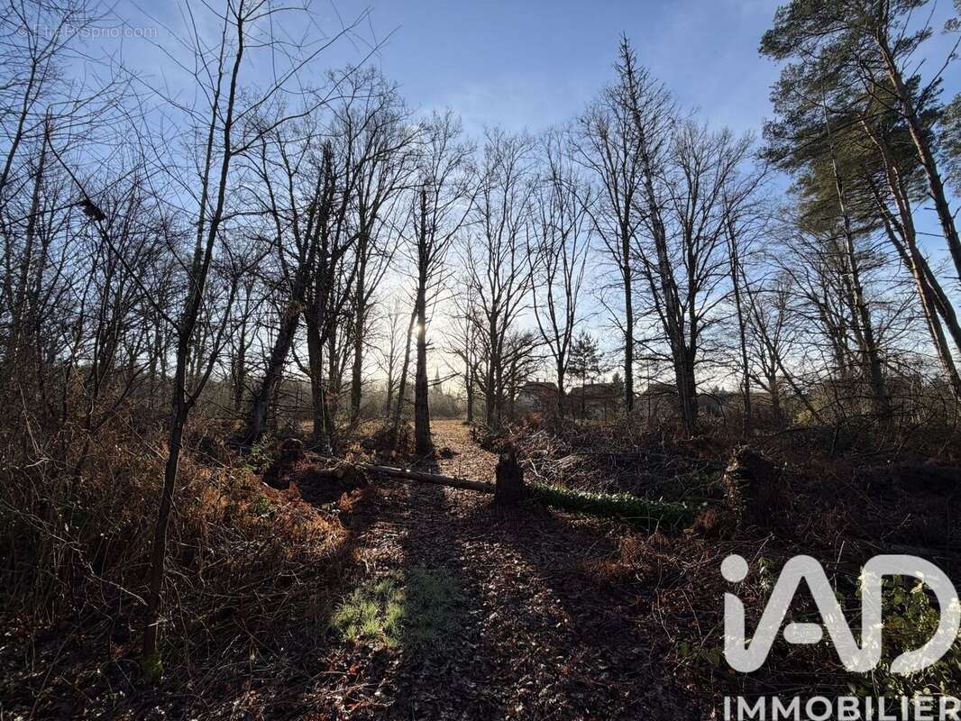 Photo 9 - Terrain à NANCAY