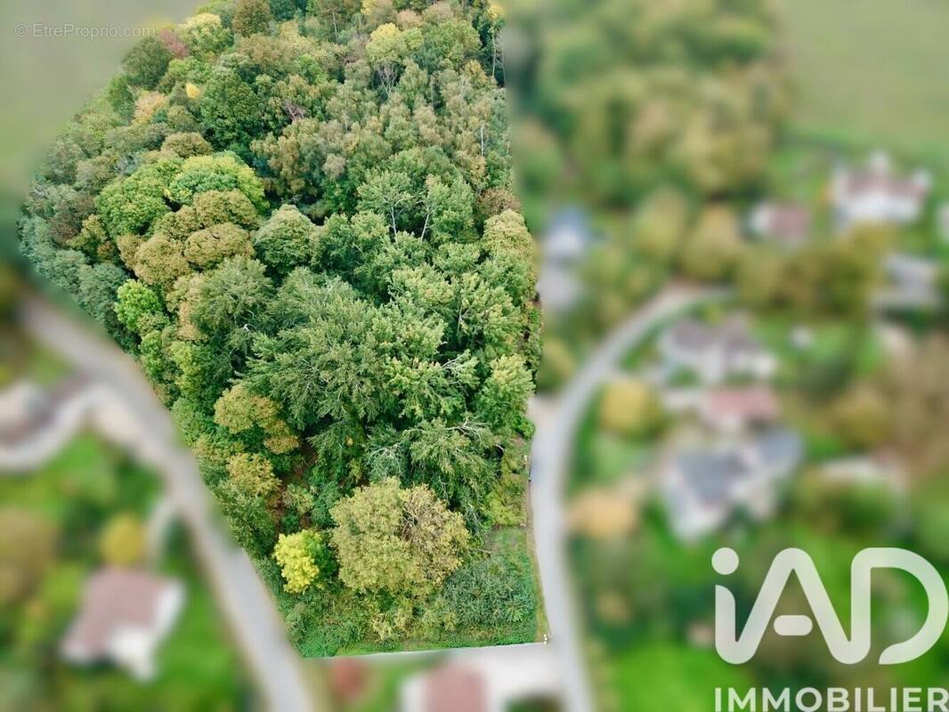 Photo 1 - Terrain à NEUVILLE-BOSC