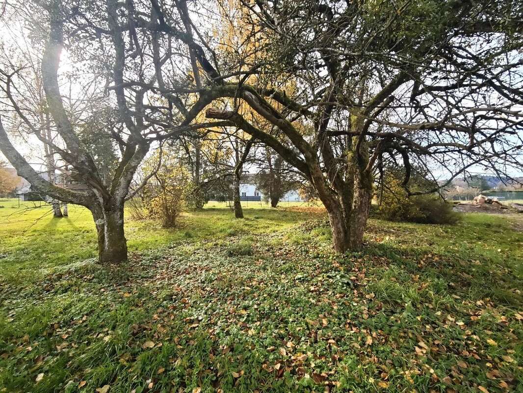 Commerce à ARCHETTES