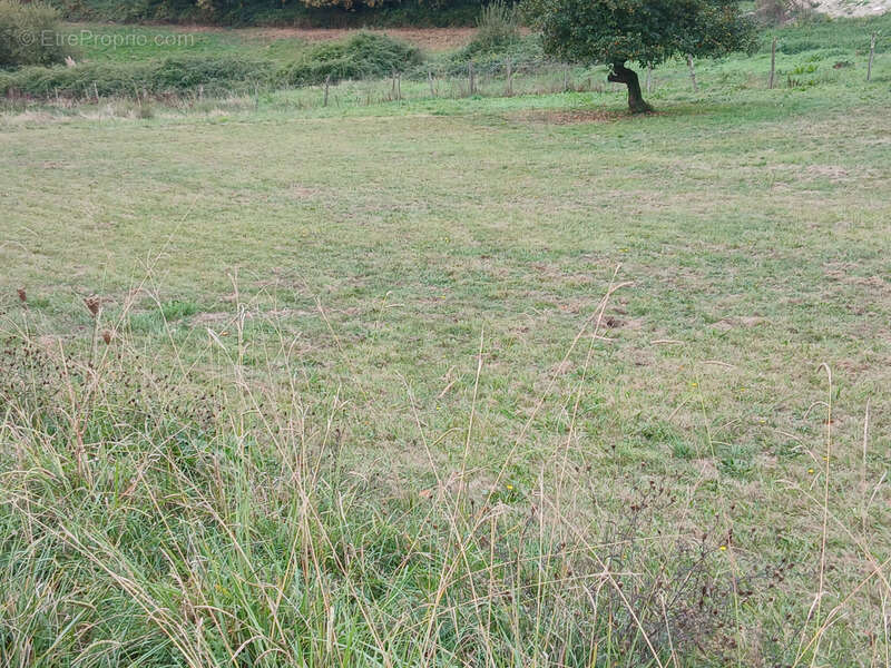 Terrain à SAINT-GENES-DE-LOMBAUD