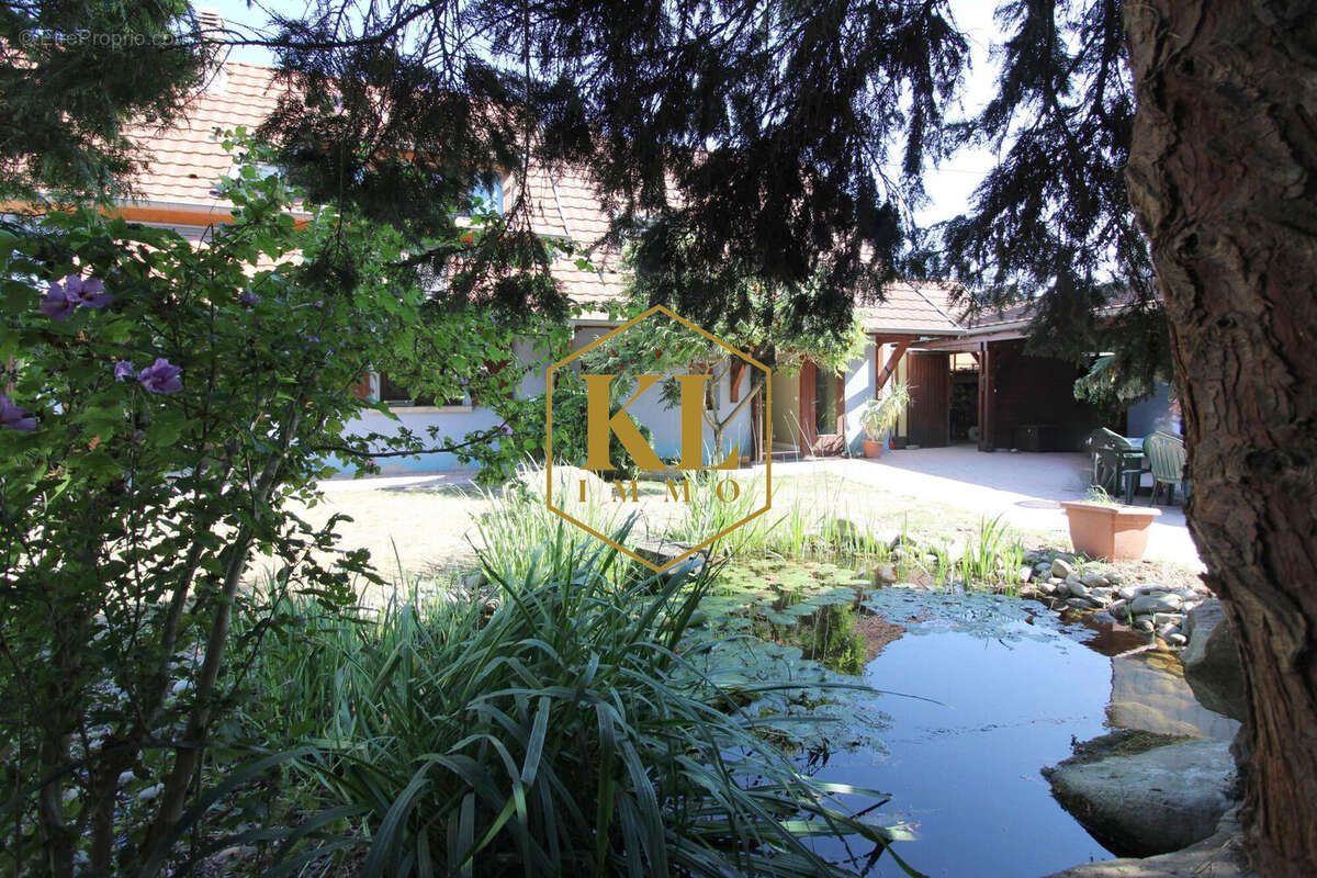 Maison 155 m² à Grussenheim  - photo 5