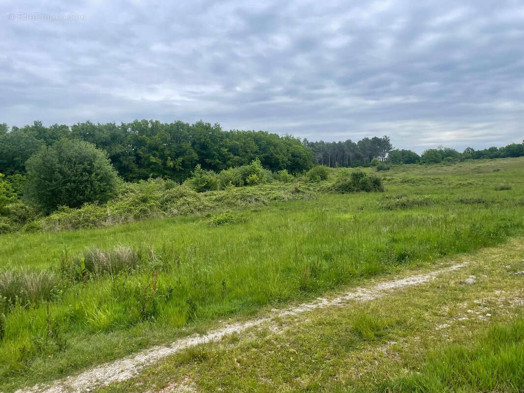 Maison à MONTPON-MENESTEROL