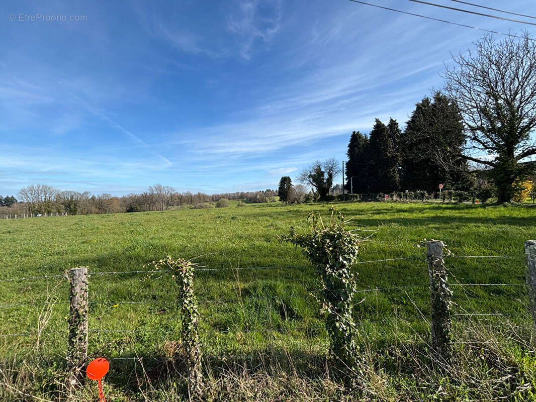 Terrain à SAINT-YRIEIX-LA-PERCHE
