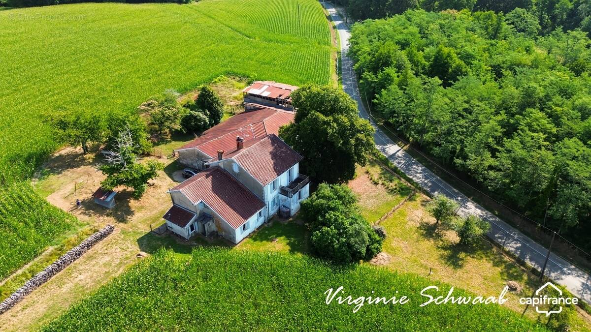 Maison à POUILLON