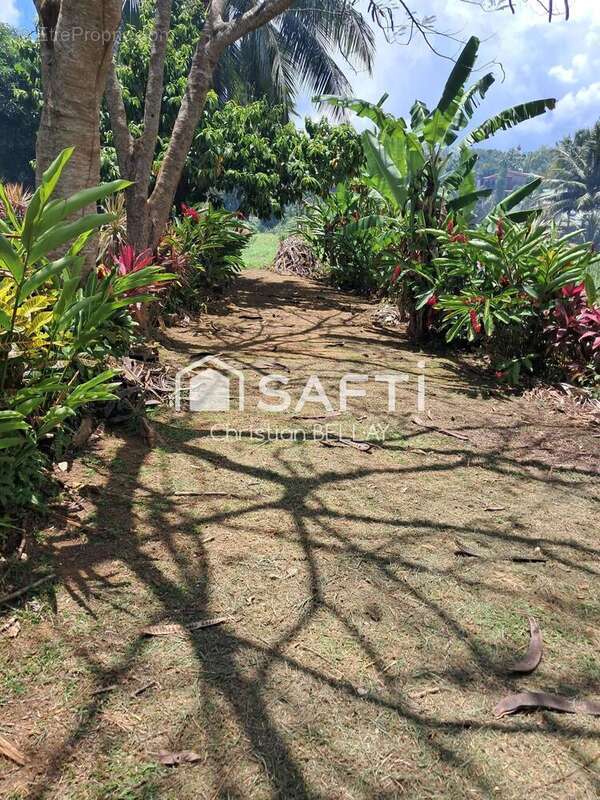 Photo 3 - Terrain à LE LAMENTIN