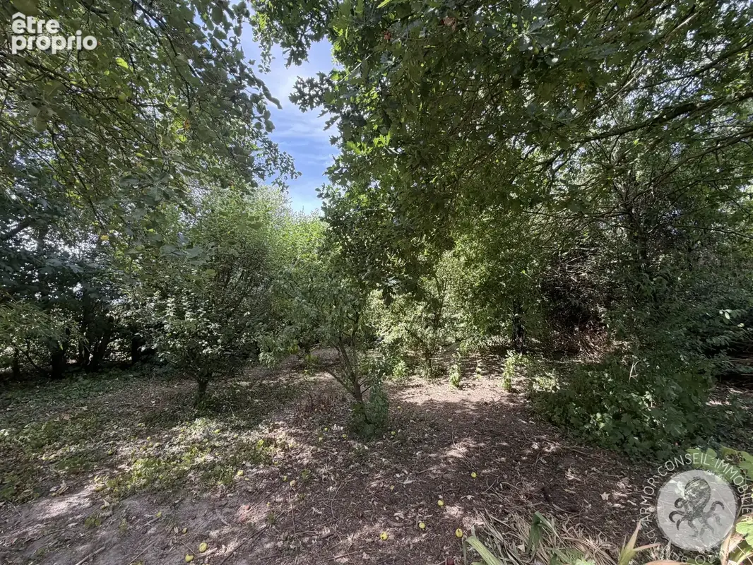 À vendre   maison avec grand terrain boisé à jugon-les-lacs - photo 18