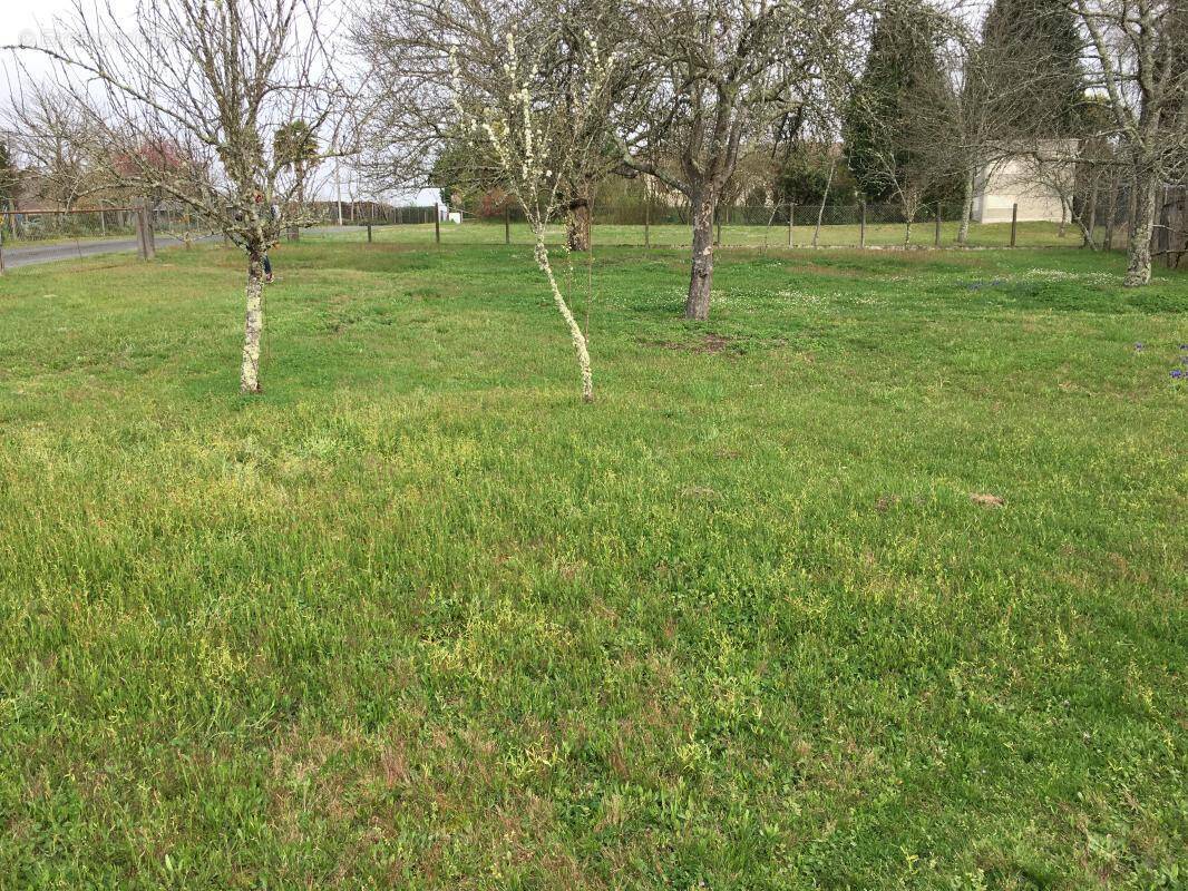 Terrain à CARTELEGUE