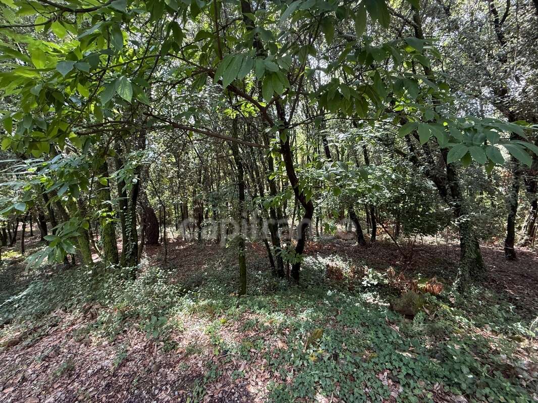 Terrain à bâtir à vendre 799,00 m² CENDRAS (30)proche d'Ales - photo 7