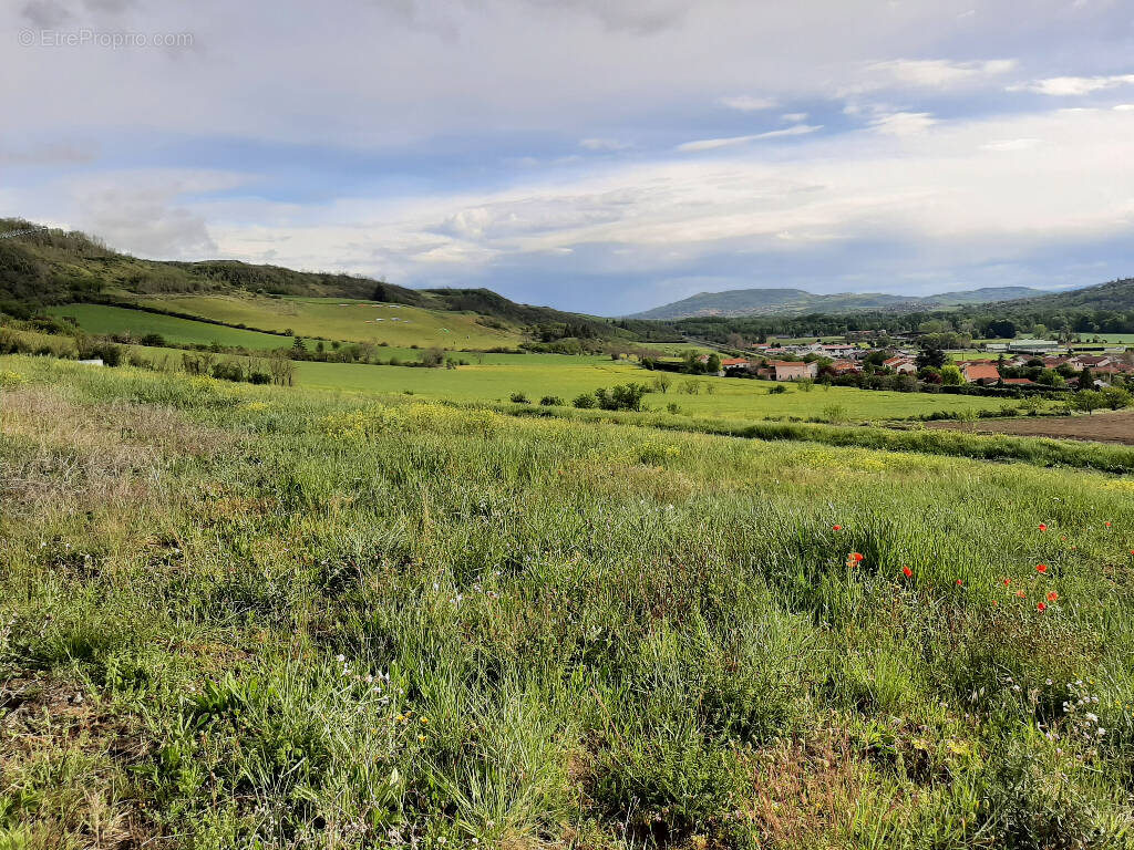 Terrain à LES MARTRES-DE-VEYRE