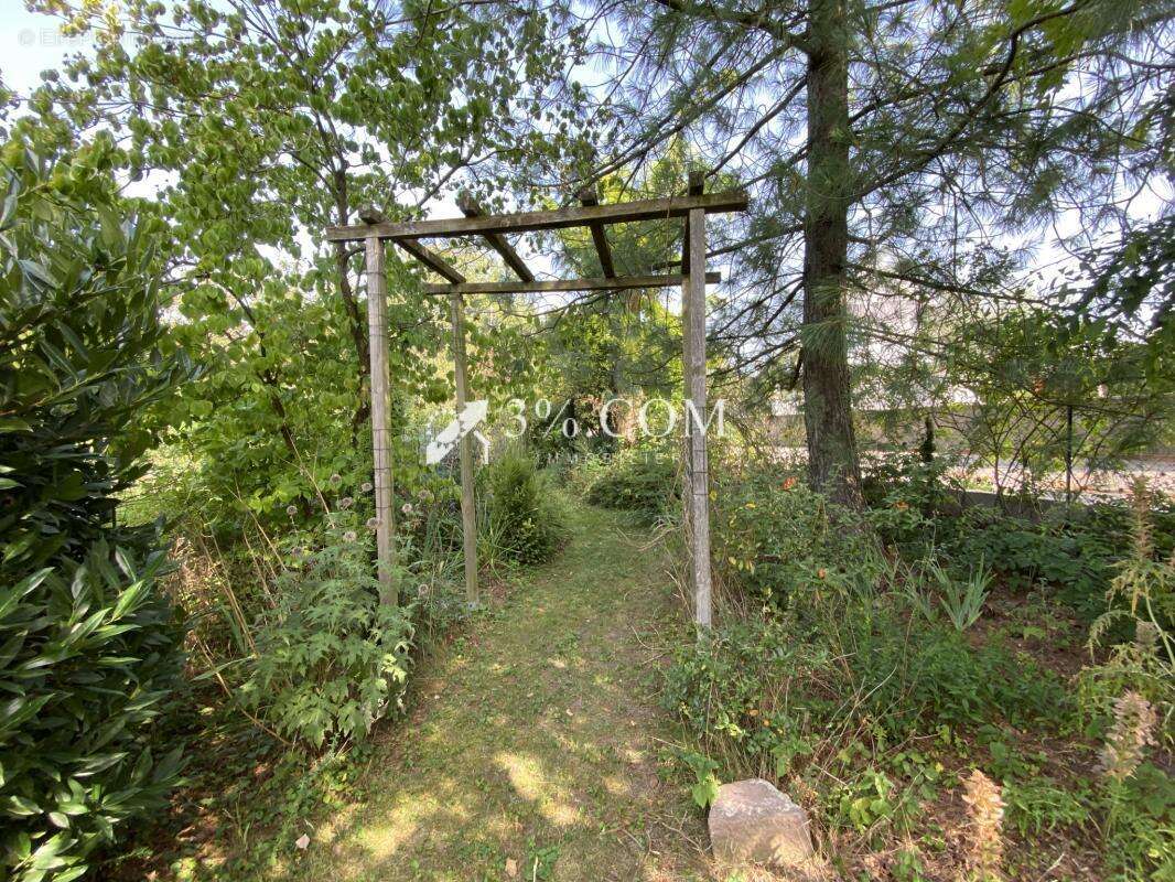 Terrain à DRUSENHEIM