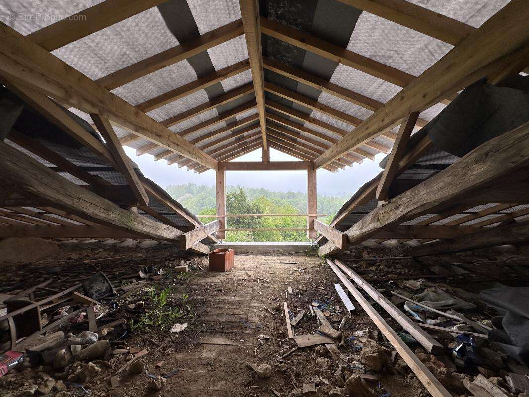 Maison 266 m² à Lavausseau  - photo 19