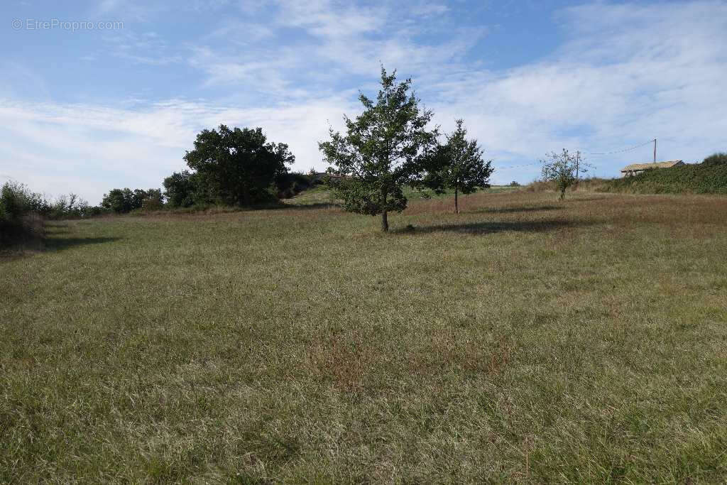 Maison à VABRES-L'ABBAYE