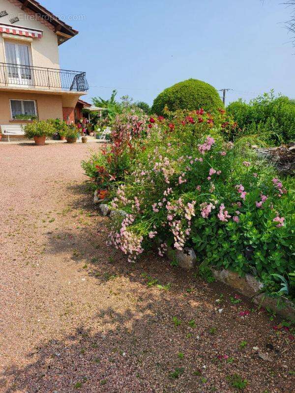 Maison Lons Nord 9 pièce(s) 200 m2 - photo 12