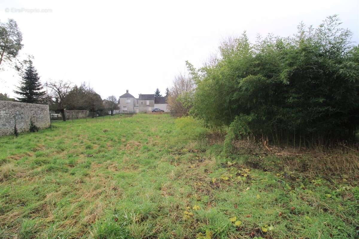Terrain à VAYRES-SUR-ESSONNE