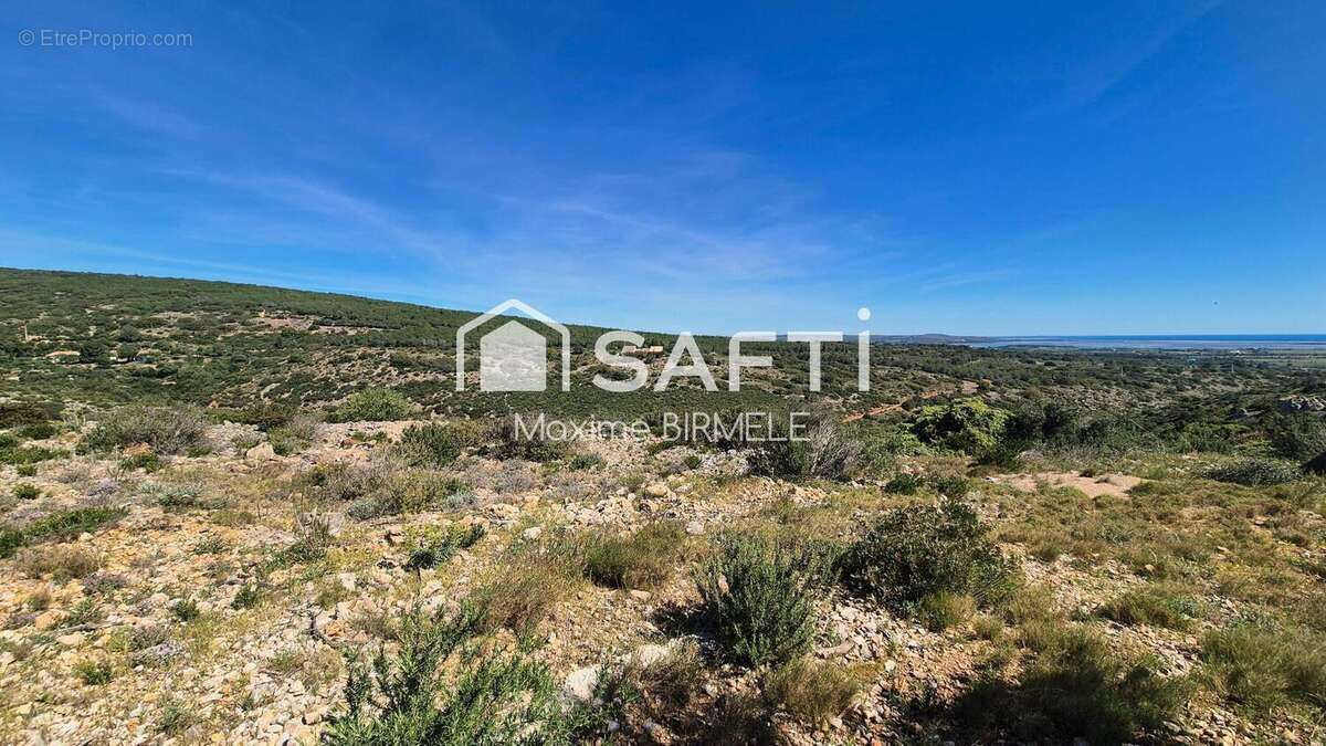 Photo 2 - Terrain à TREILLES