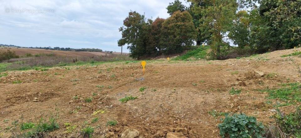 Terrain à SEGOUFIELLE