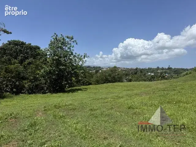 Terrain 1 429 m² à vendre à Baie-Mahault (97122) - photo 3
